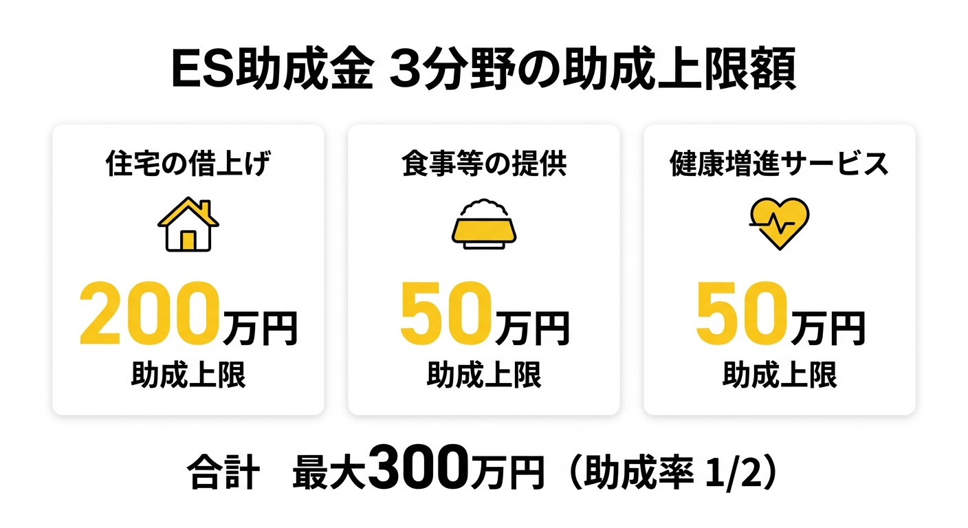 ES助成金3分野の助成上限額