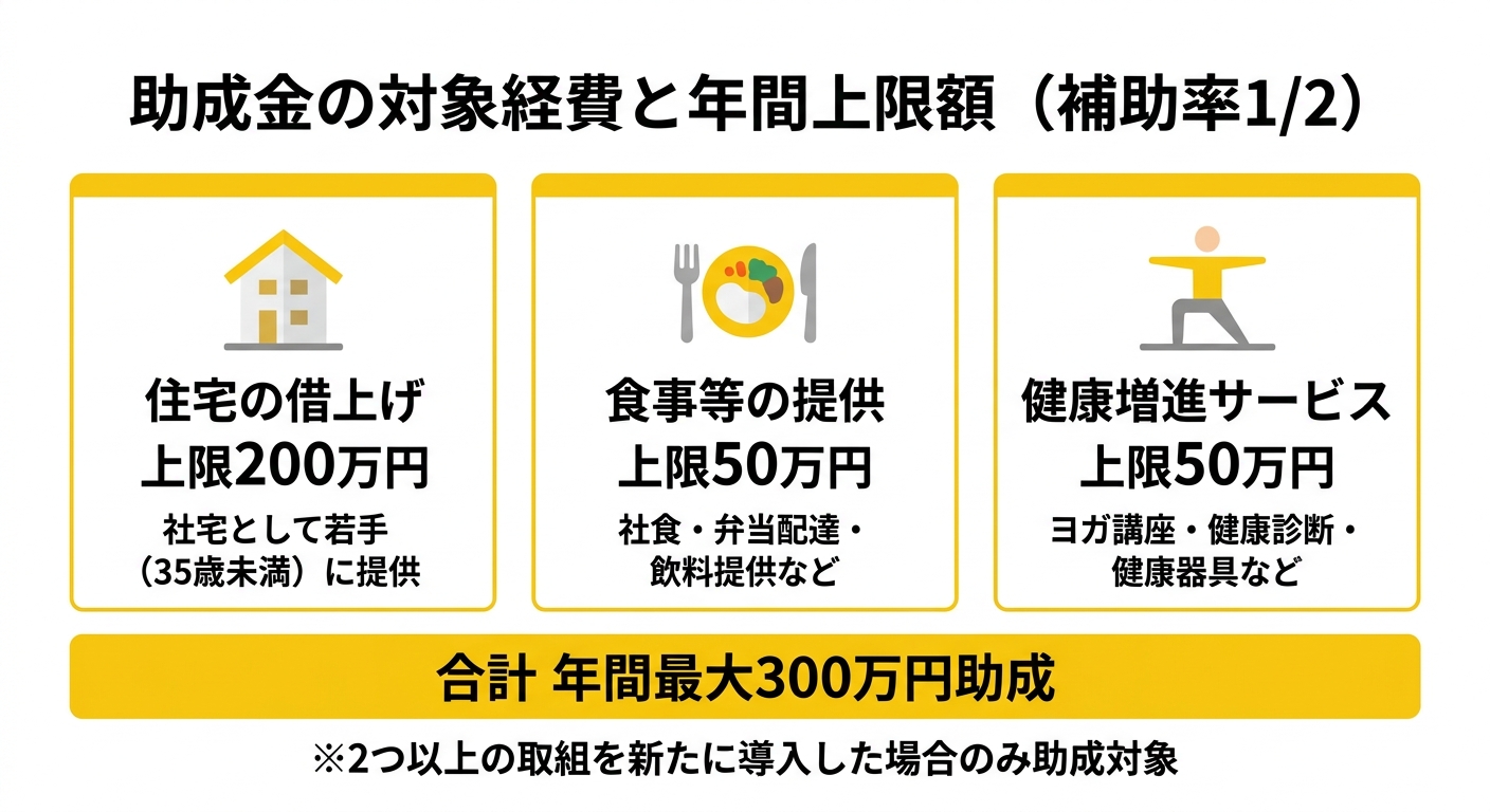 助成金の対象経費と年間上限額（補助率1/2）