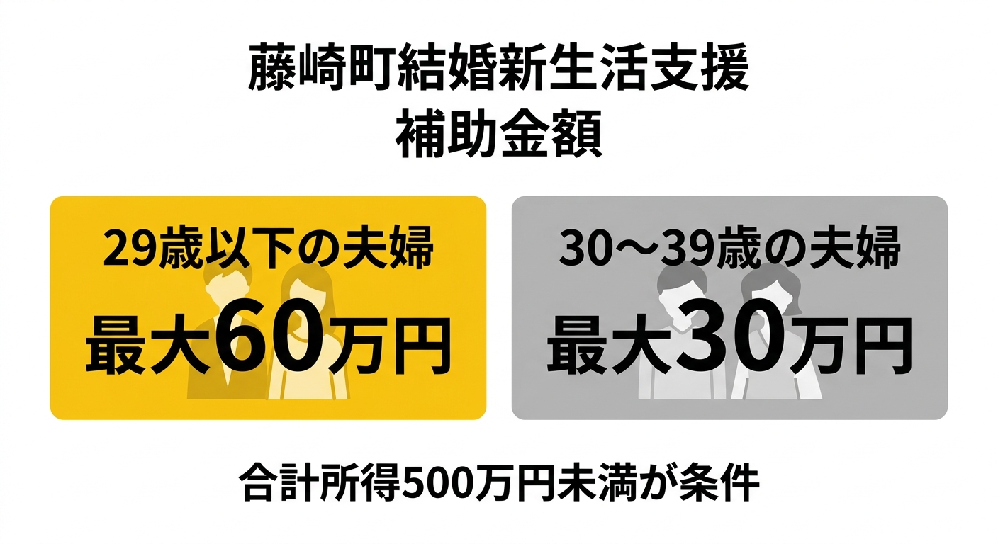 補助金額の比較図