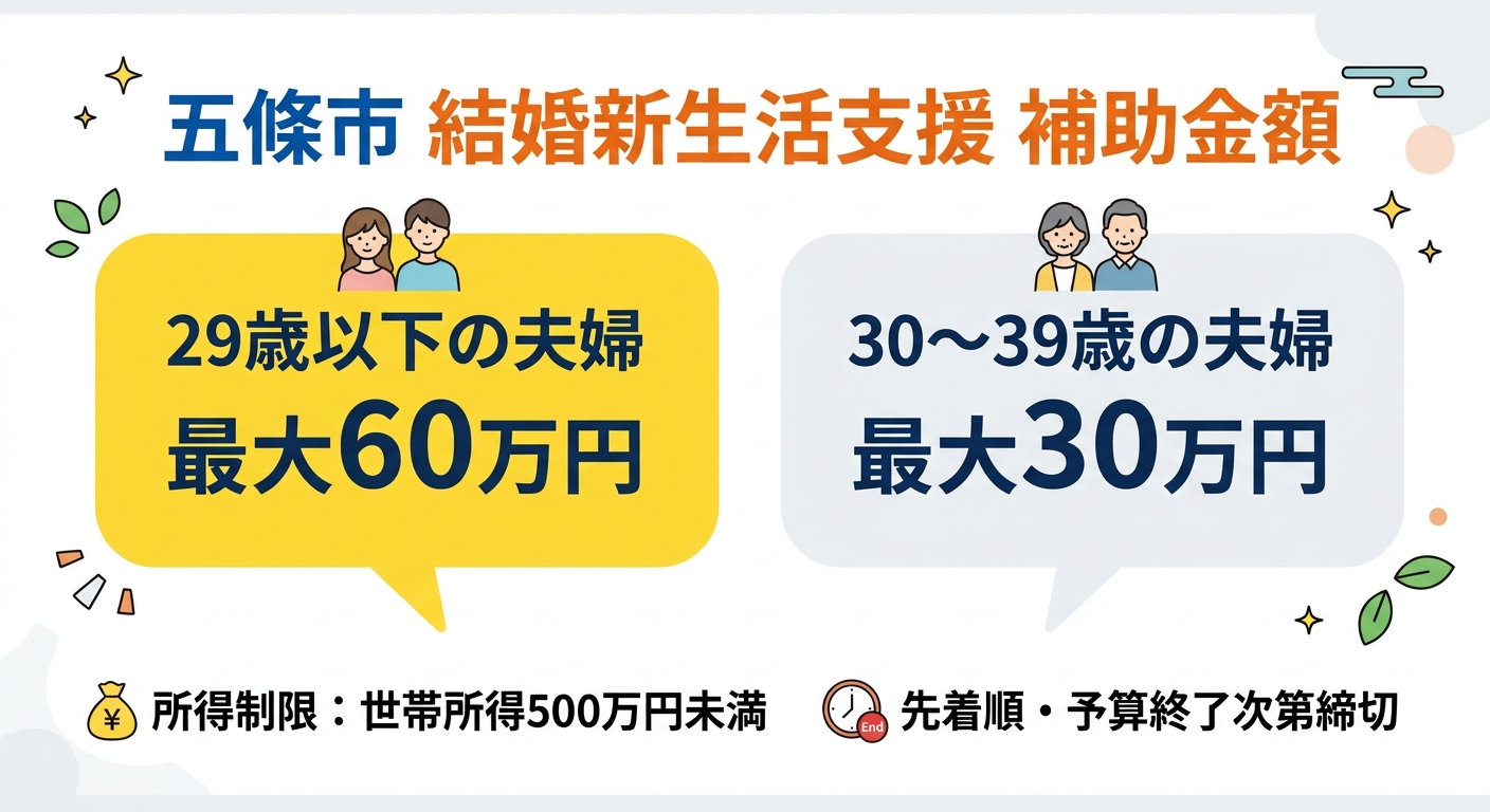 補助金額の比較図