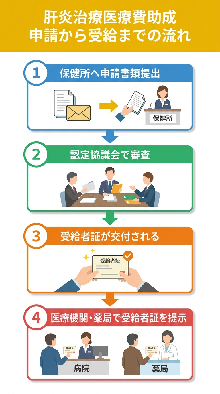 肝炎治療医療費助成 申請から受給までの流れ