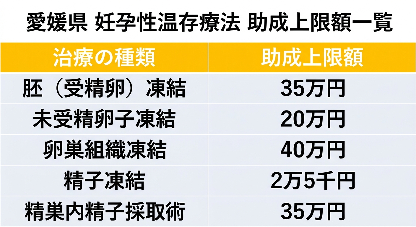 愛媛県 妊孕性温存療法 助成上限額一覧