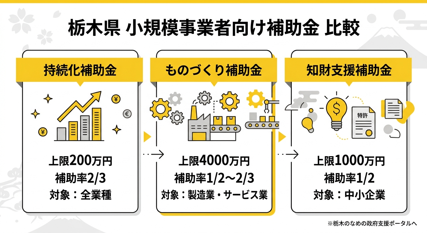 栃木県 小規模事業者向け補助金 比較インフォグラフィック