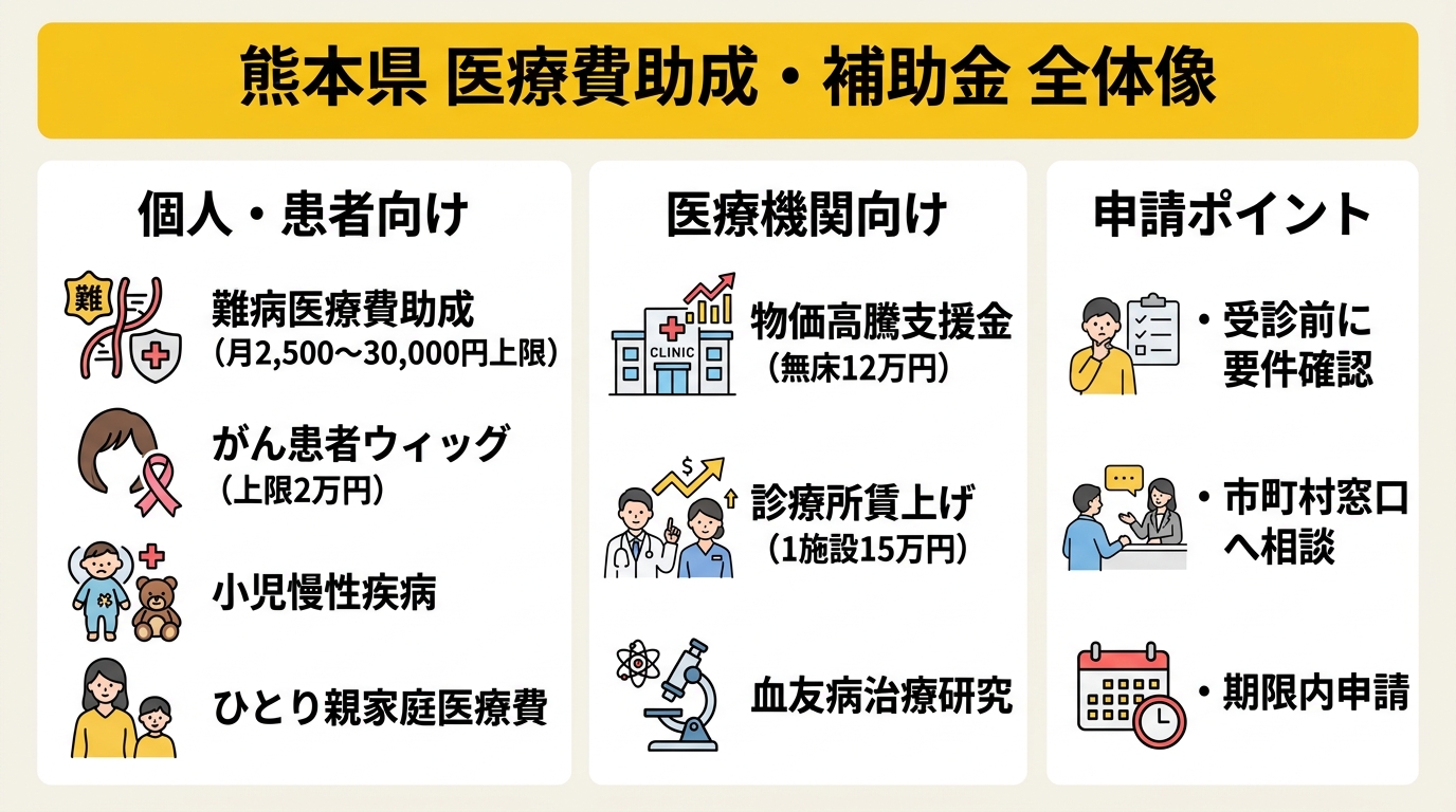 熊本県の医療費助成・補助金全体像
